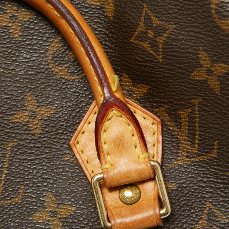 Pre Owned Louis Vuitton Monogram Canvas Speedy 25 Bag