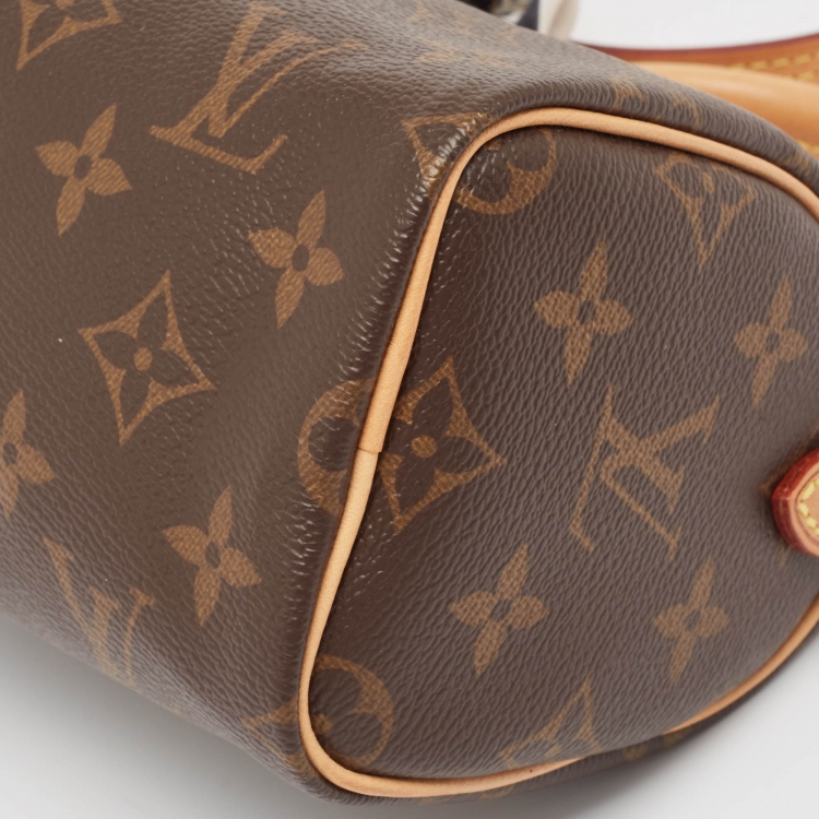 Pre Owned Louis Vuitton Monogram Canvas Nano Speedy Bag