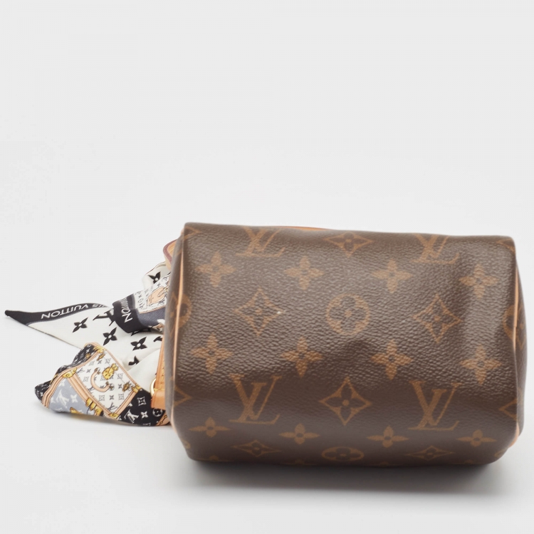 Pre Owned Louis Vuitton Monogram Canvas Nano Speedy Bag