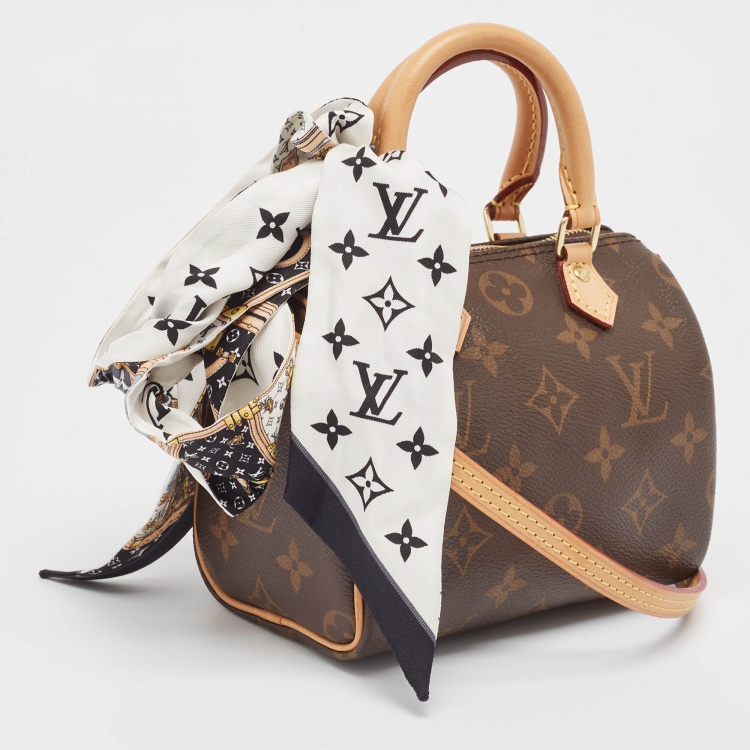 Pre Owned Louis Vuitton Monogram Canvas Nano Speedy Bag