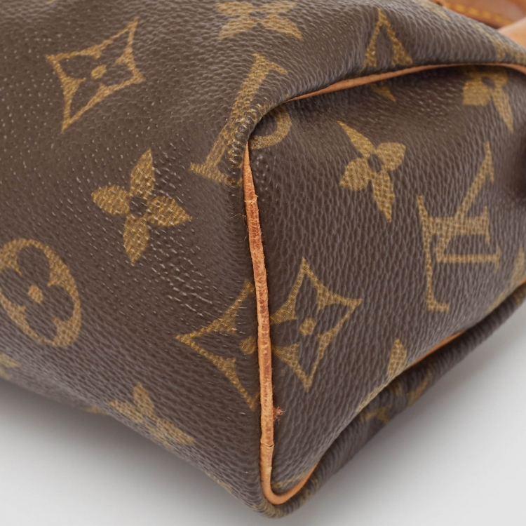 Pre Owned Louis Vuitton Monogram Canvas Vintage Speedy Bag