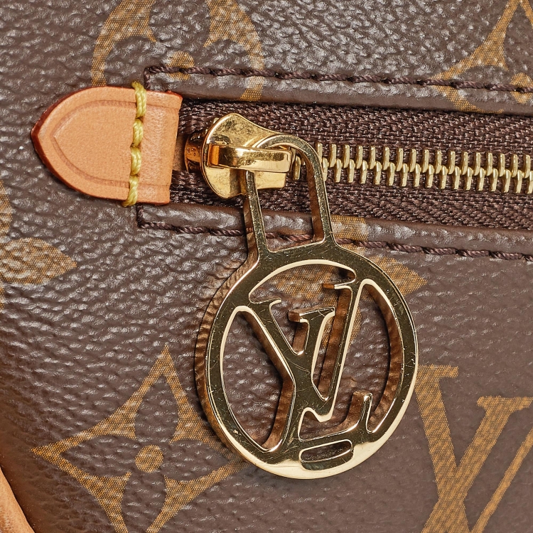 Pre Owned Louis Vuitton Monogram Canvas Loop Bag