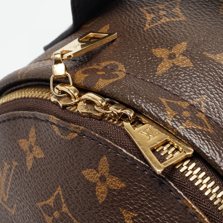 Pre Owned Louis Vuitton Monogram Canvas Palm Springs PM Backpack