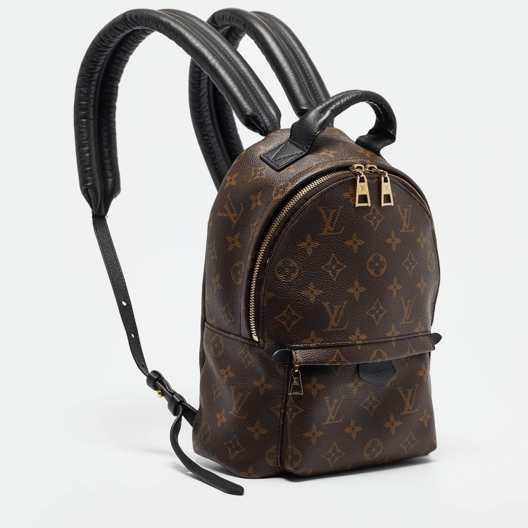 Pre Owned Louis Vuitton Monogram Canvas Palm Springs PM Backpack