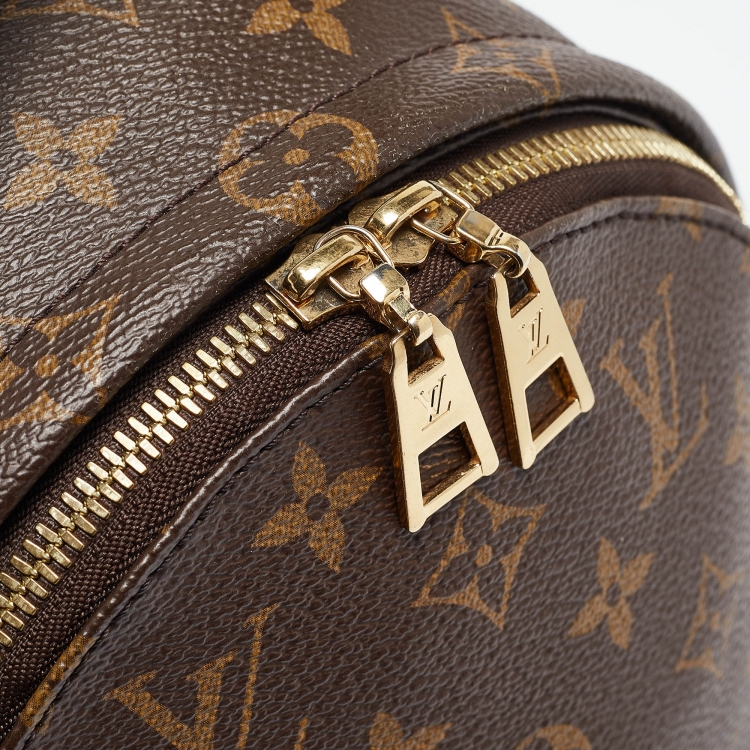 Pre Owned Louis Vuitton Monogram Canvas Palm Springs PM Backpack