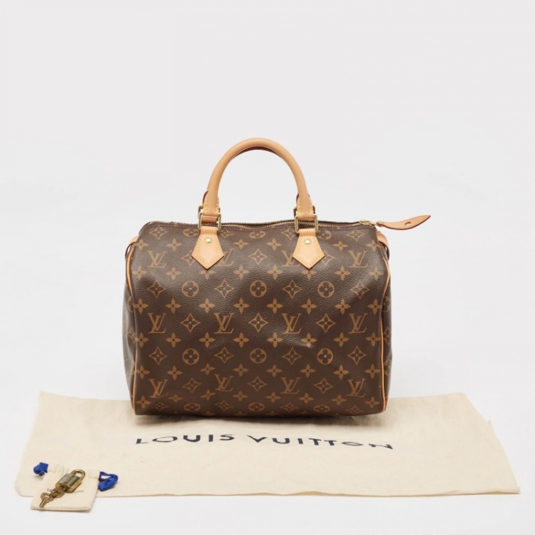 Pre Owned Louis Vuitton Monogram Canvas Speedy 30 Bag