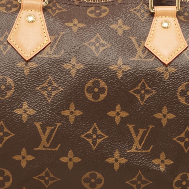 Pre Owned Louis Vuitton Monogram Canvas Speedy 30 Bag