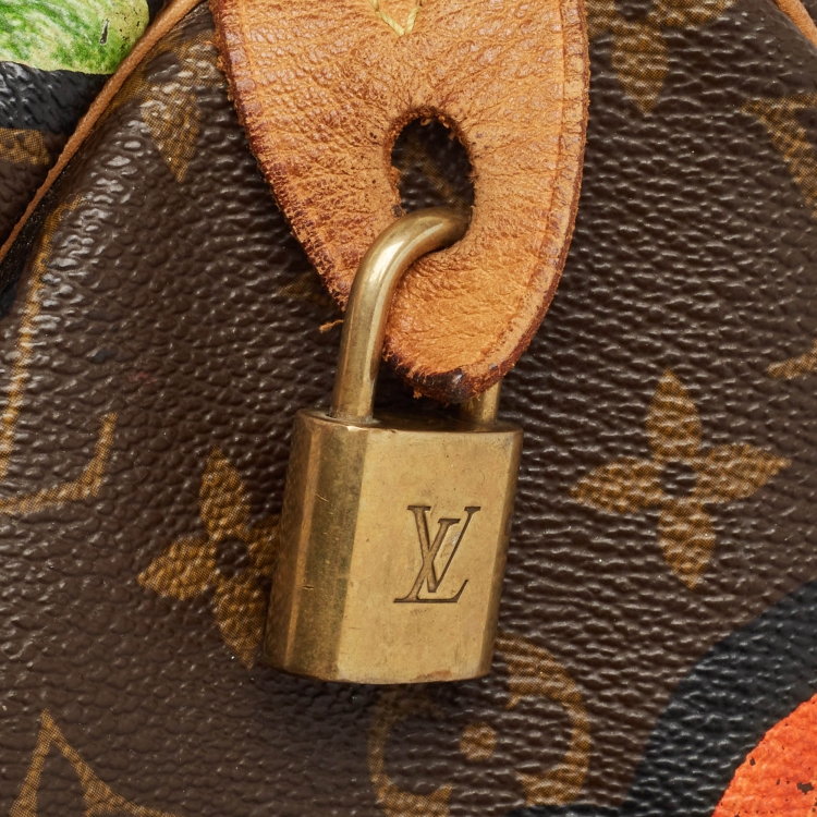 Pre Owned Louis Vuitton Multicolor Monogram Canvas Limited Edition Stephen Sprouse Roses Speedy 30 Bag
