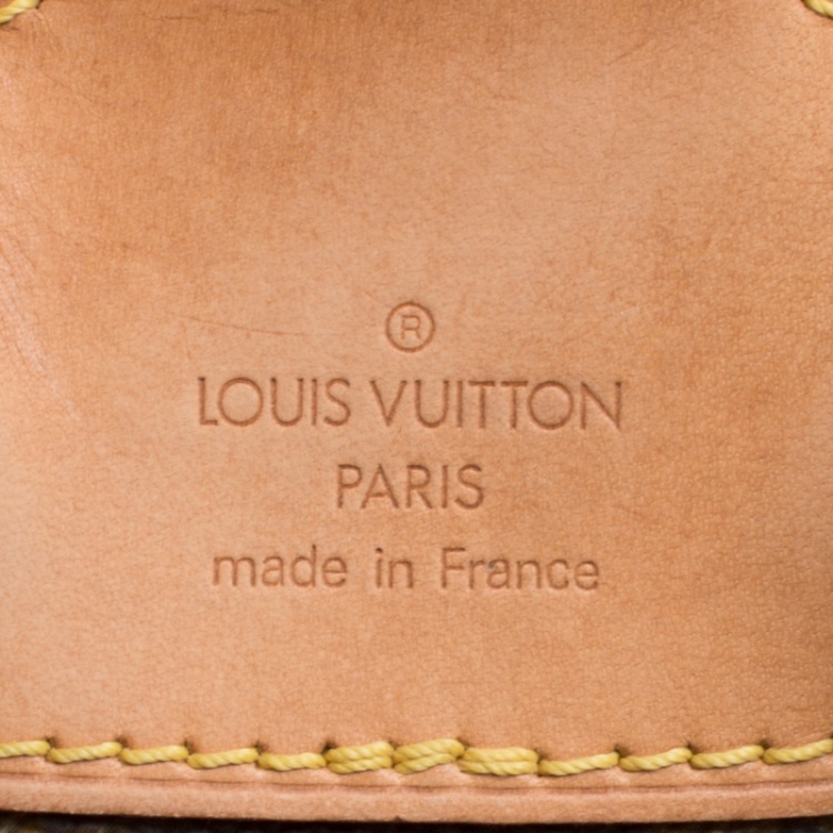 Pre Owned Louis Vuitton Monogram Canvas Montsouris MM Backpack Bag