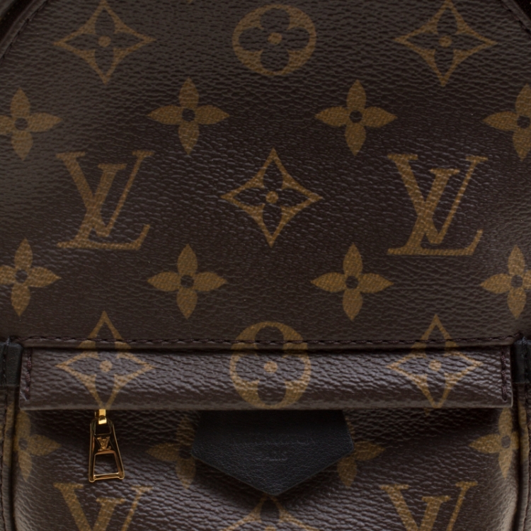 Pre Owned Louis Vuitton Monogram Canvas Mini Palm Springs Backpack