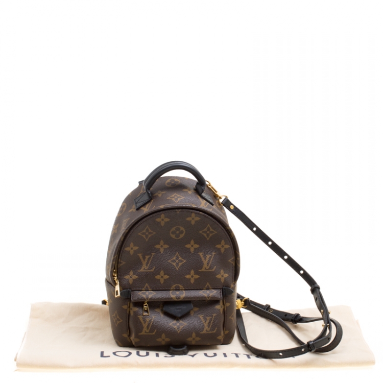 fysiker At læse Withered Louis Vuitton Monogram Canvas Mini Palm Springs Backpack Louis Vuitton | TLC