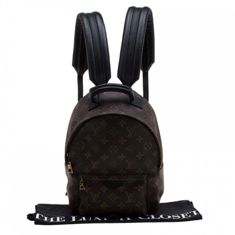 Pre Owned Louis Vuitton Monogram Canvas Mini Palm Springs Backpack