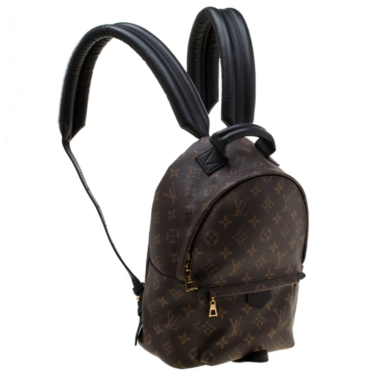 Pre Owned Louis Vuitton Monogram Canvas Mini Palm Springs Backpack