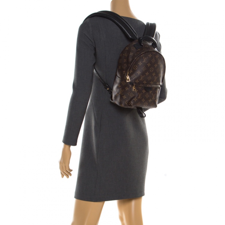 Pre Owned Louis Vuitton Monogram Canvas Mini Palm Springs Backpack