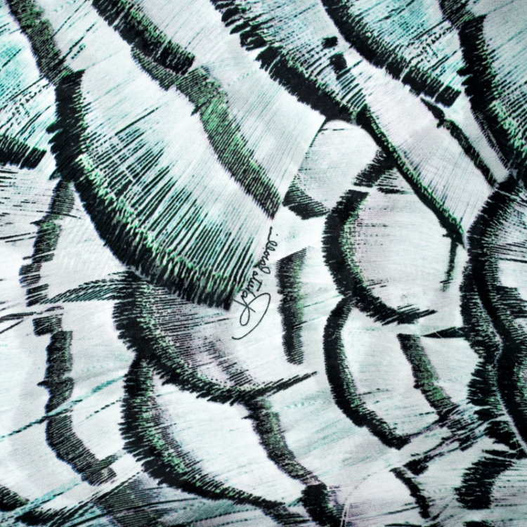 Pre Owned Roberto Cavalli Blue Feather Printed Silk Lurex Edged Scarf