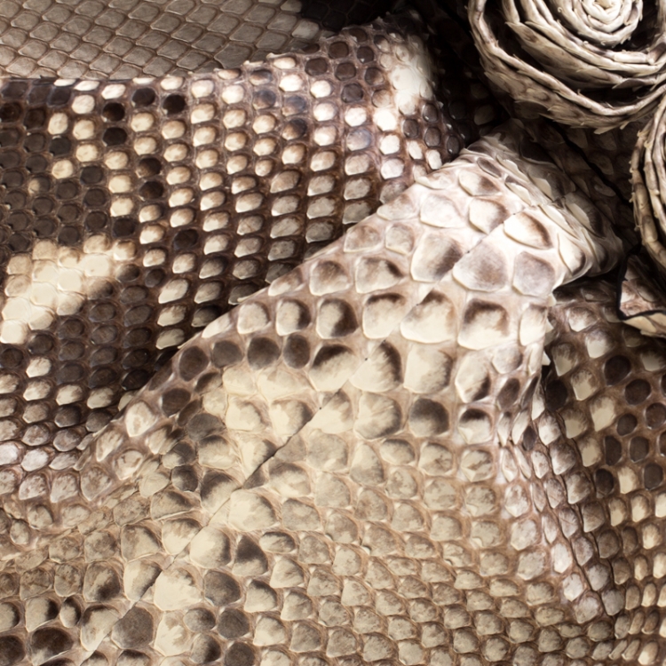مملوكة مسبقًا Valentino Beige Python Lacca Fleur Frame Satchel Bag