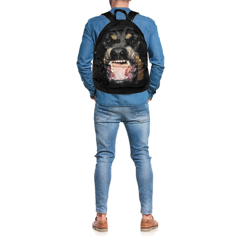 

Givenchy Black Rottweiler Nylon and Leather Backpack