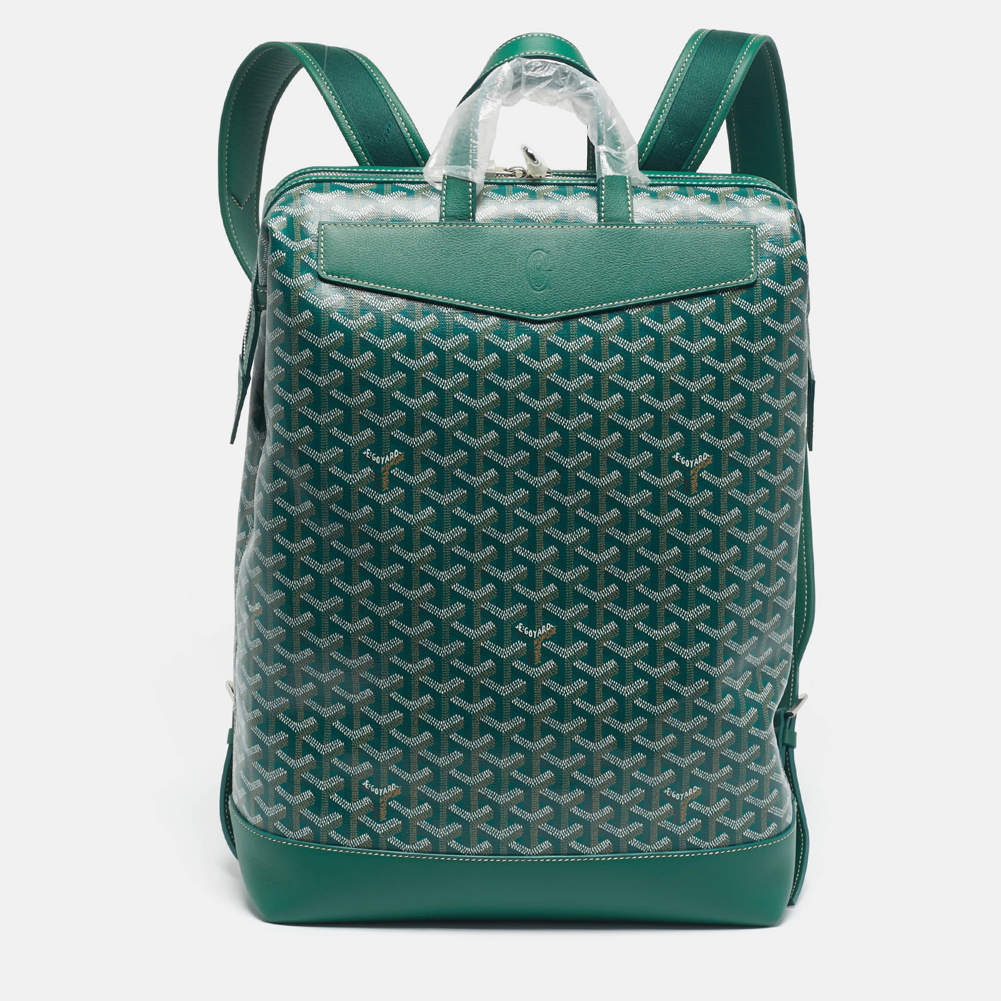 Pre-owned Goyard Ine Coated Canvas And Leather Cisalpin Backpack In Green