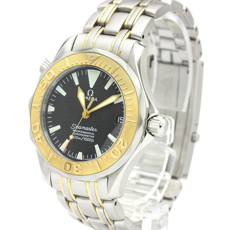 

Omega Black Stainless Steel Seamaster Professional