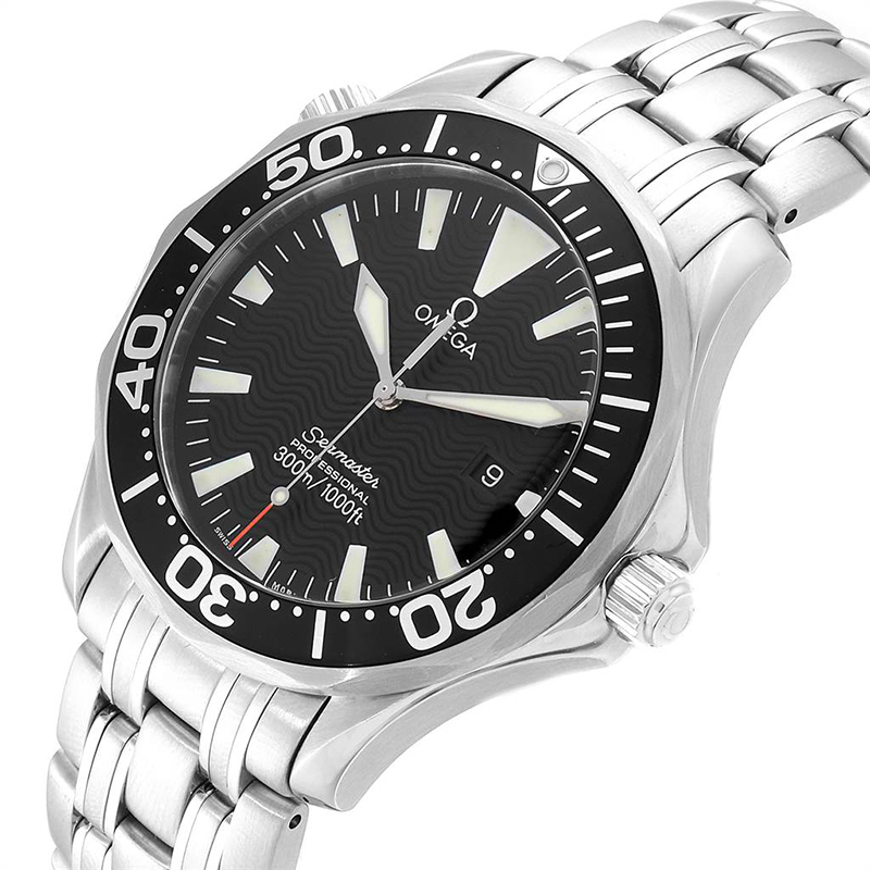 

Omega Black Stainless Steel Seamaster Professional