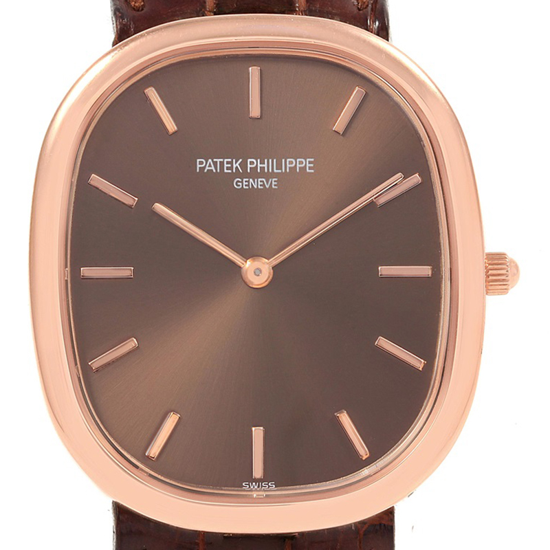 

Patek Philippe Brown