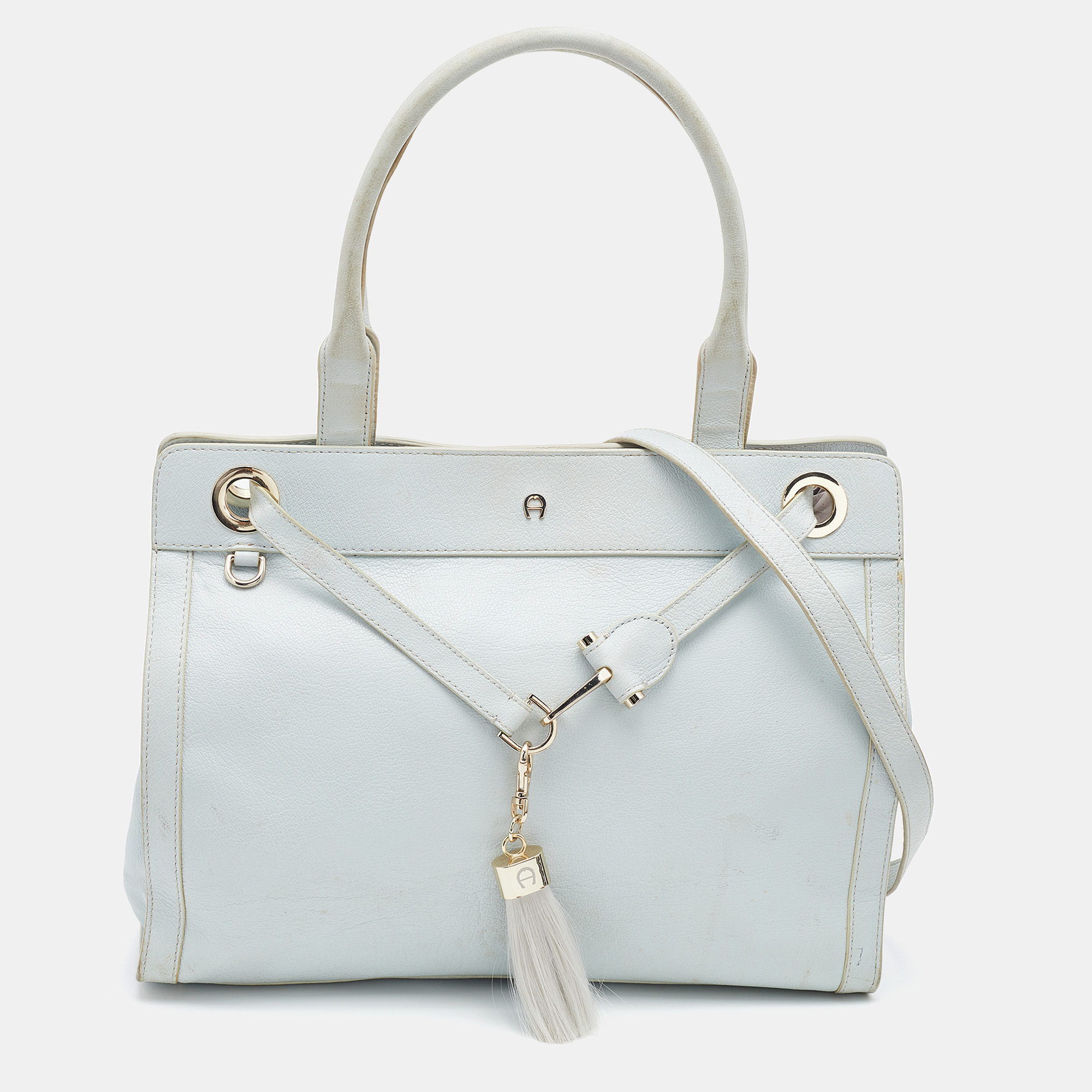 Pre-owned Aigner Sky Blue Leather Cavallina Tote