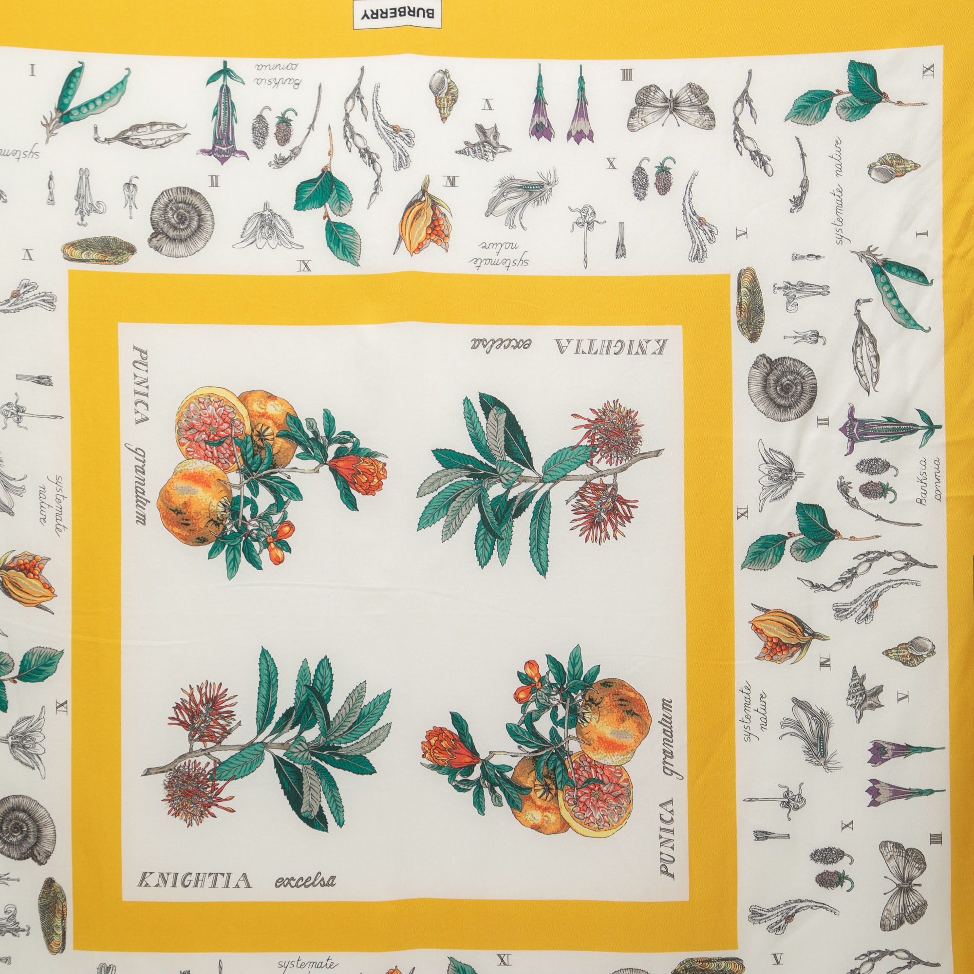 

Burberry Yellow Botanical Study Print Silk Scarf