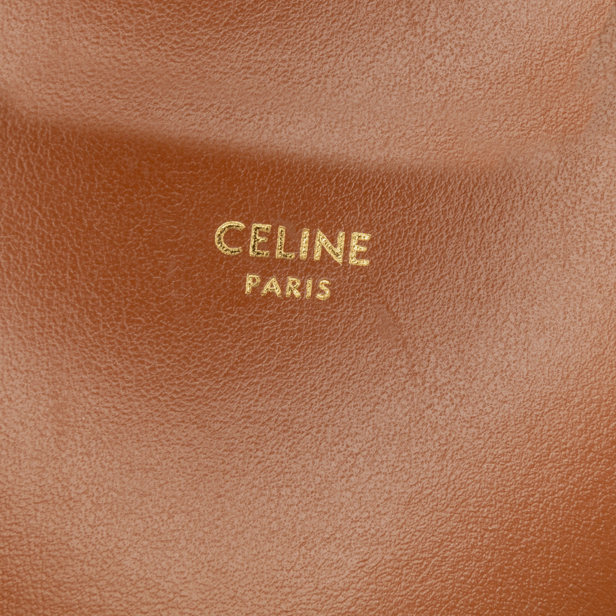 Celine Triomphe Coated Canvas Multi Pochette 