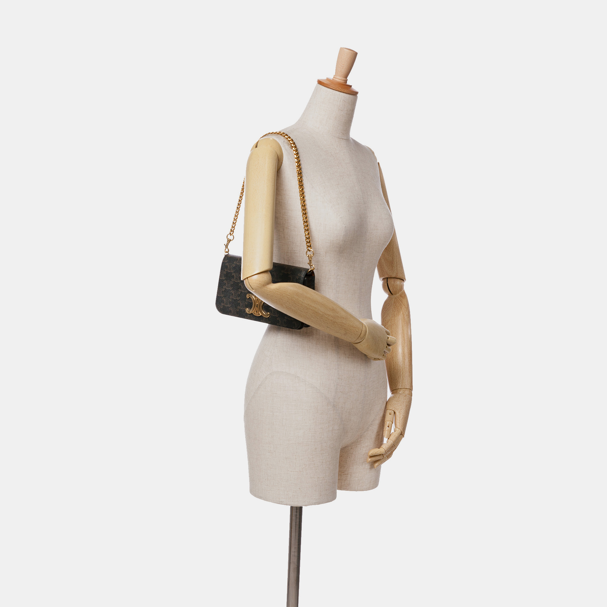 Celine Triomphe Coated Canvas Multi Pochette 