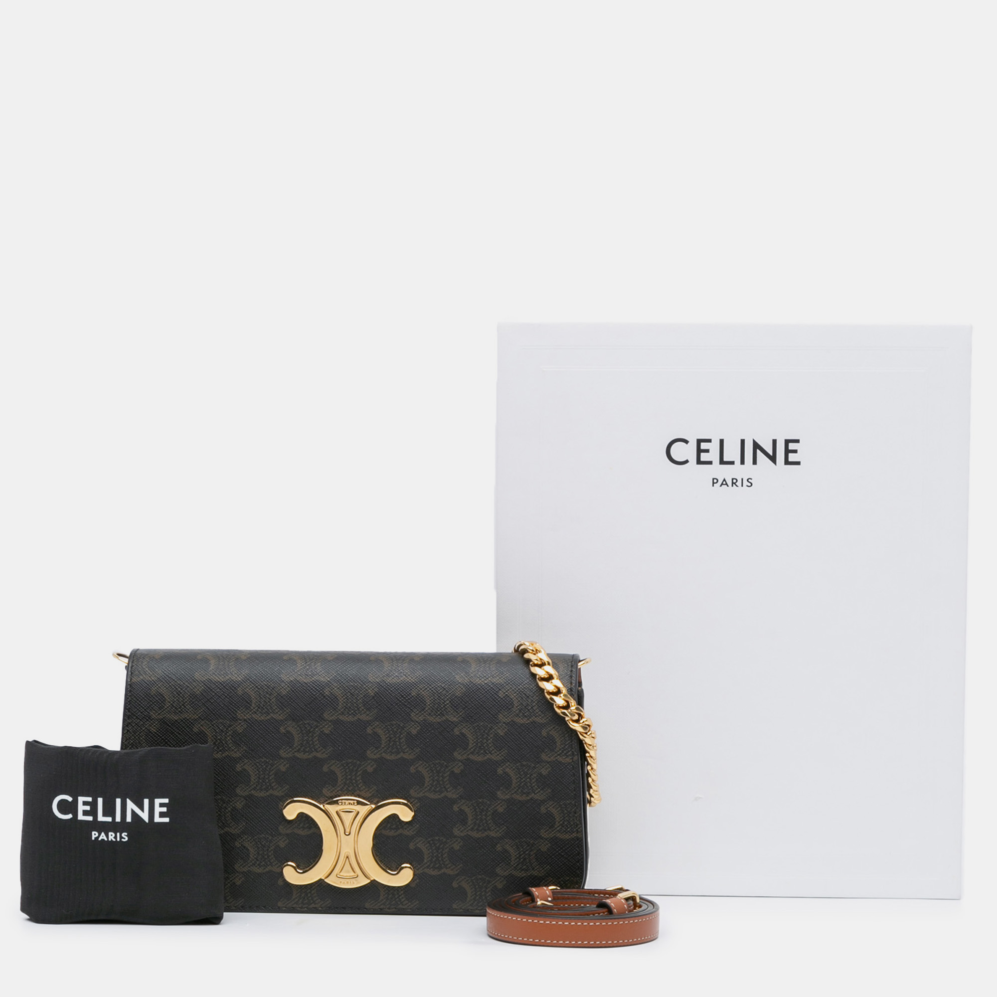 Celine Triomphe Coated Canvas Multi Pochette 