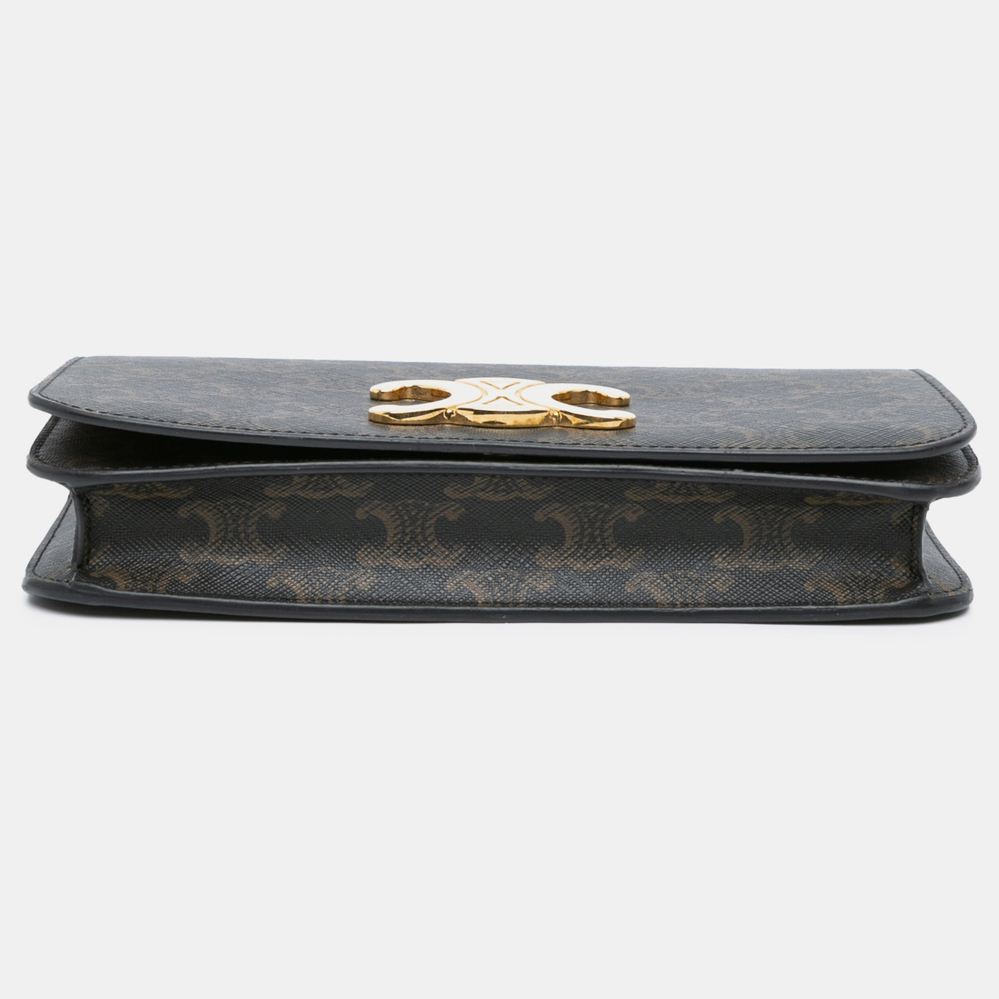 Celine Triomphe Coated Canvas Multi Pochette 