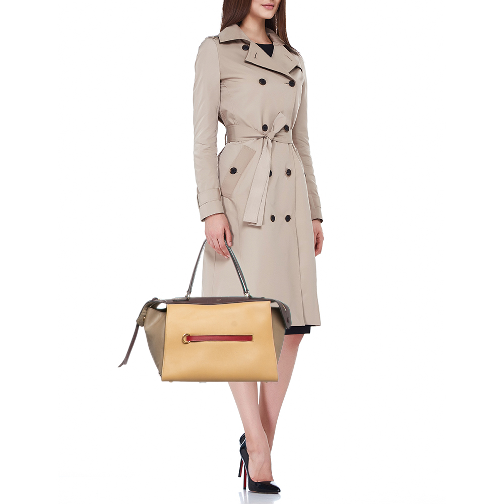 Celine Tricolor Leather Small Ring Satchel 