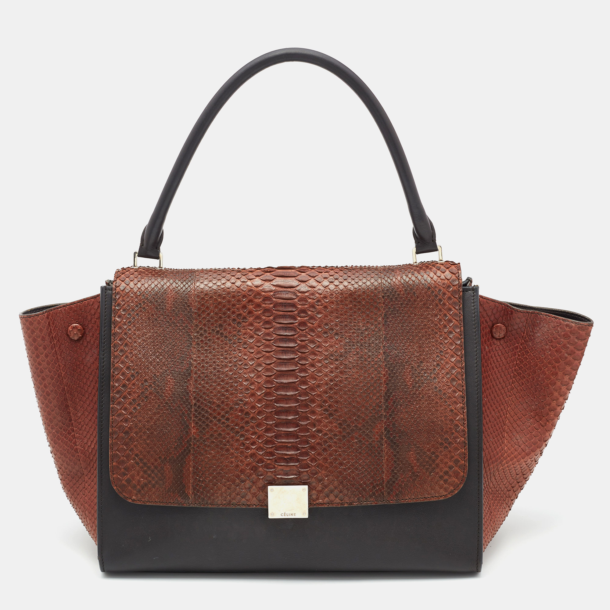 

Celine Brown/Black Python and Leather  Trapeze Top Handle Bag