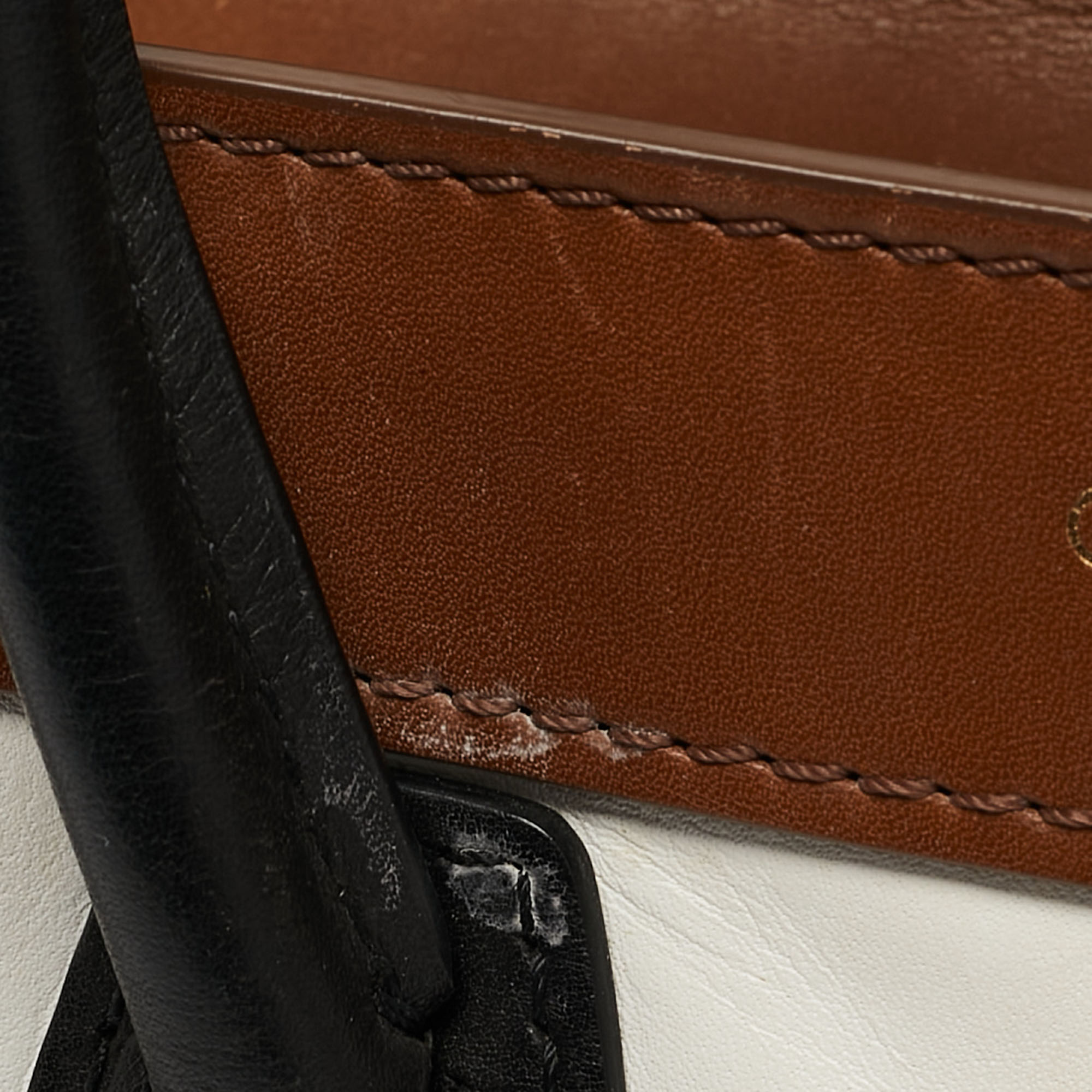Celine Tricolor Leather Nano Luggage Tote 