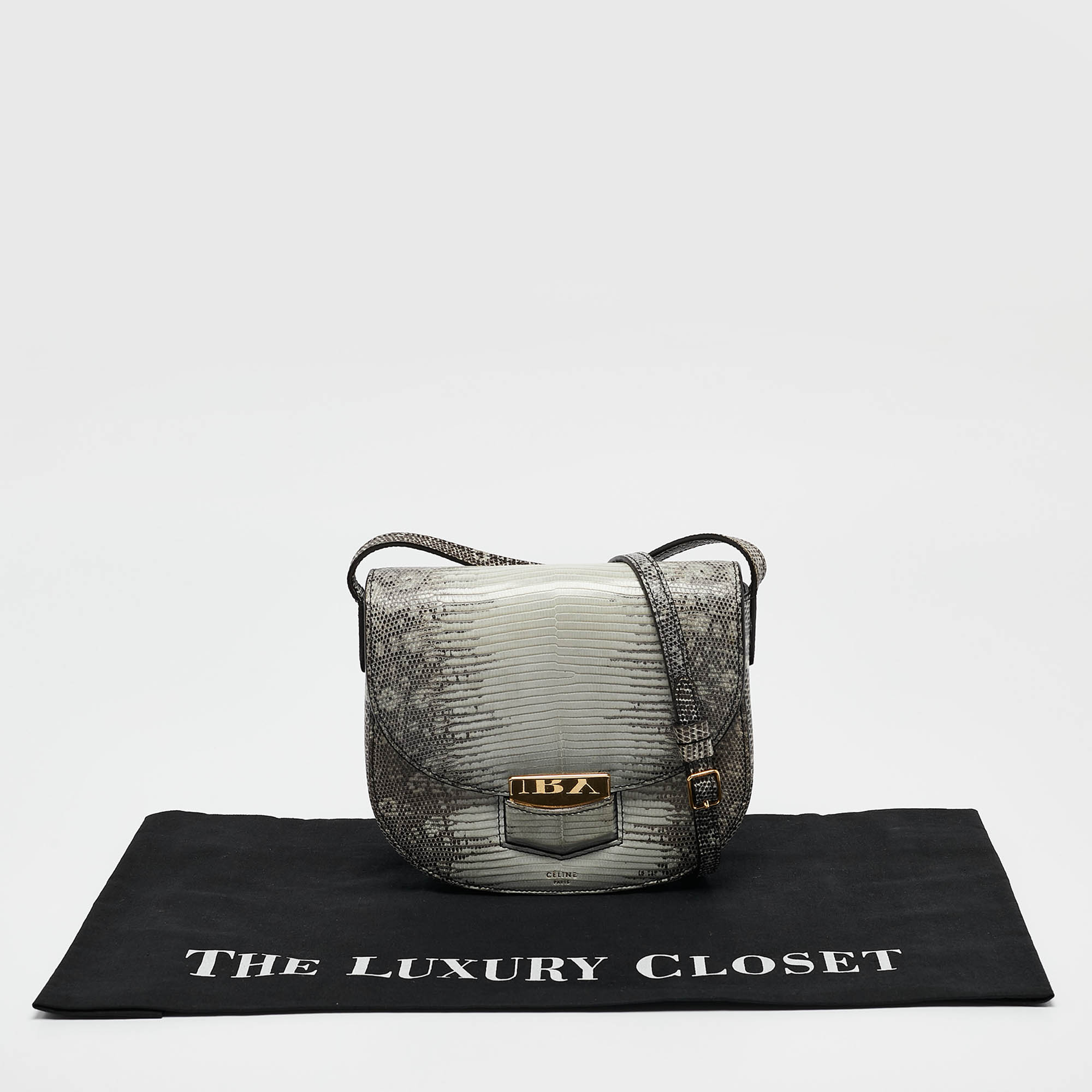 Celine Light Blue/Beige Lizard Small Trotteur Crossbody Bag 