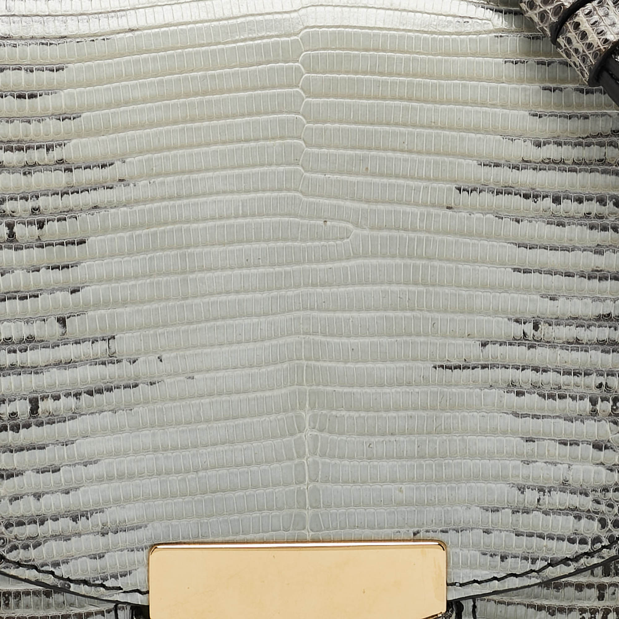 Celine Light Blue/Beige Lizard Small Trotteur Crossbody Bag 