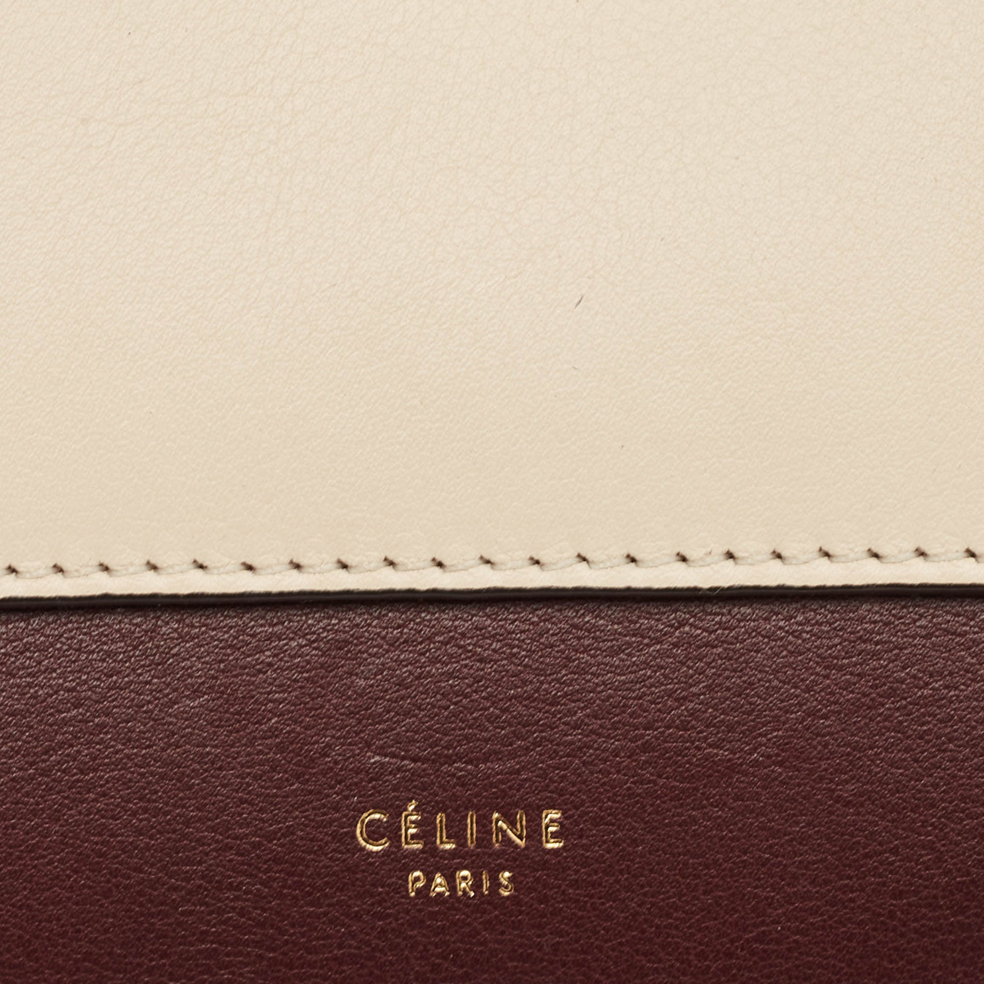 Celine Tricolor Leather and Python Pocket Envelope Shoulder Bag 