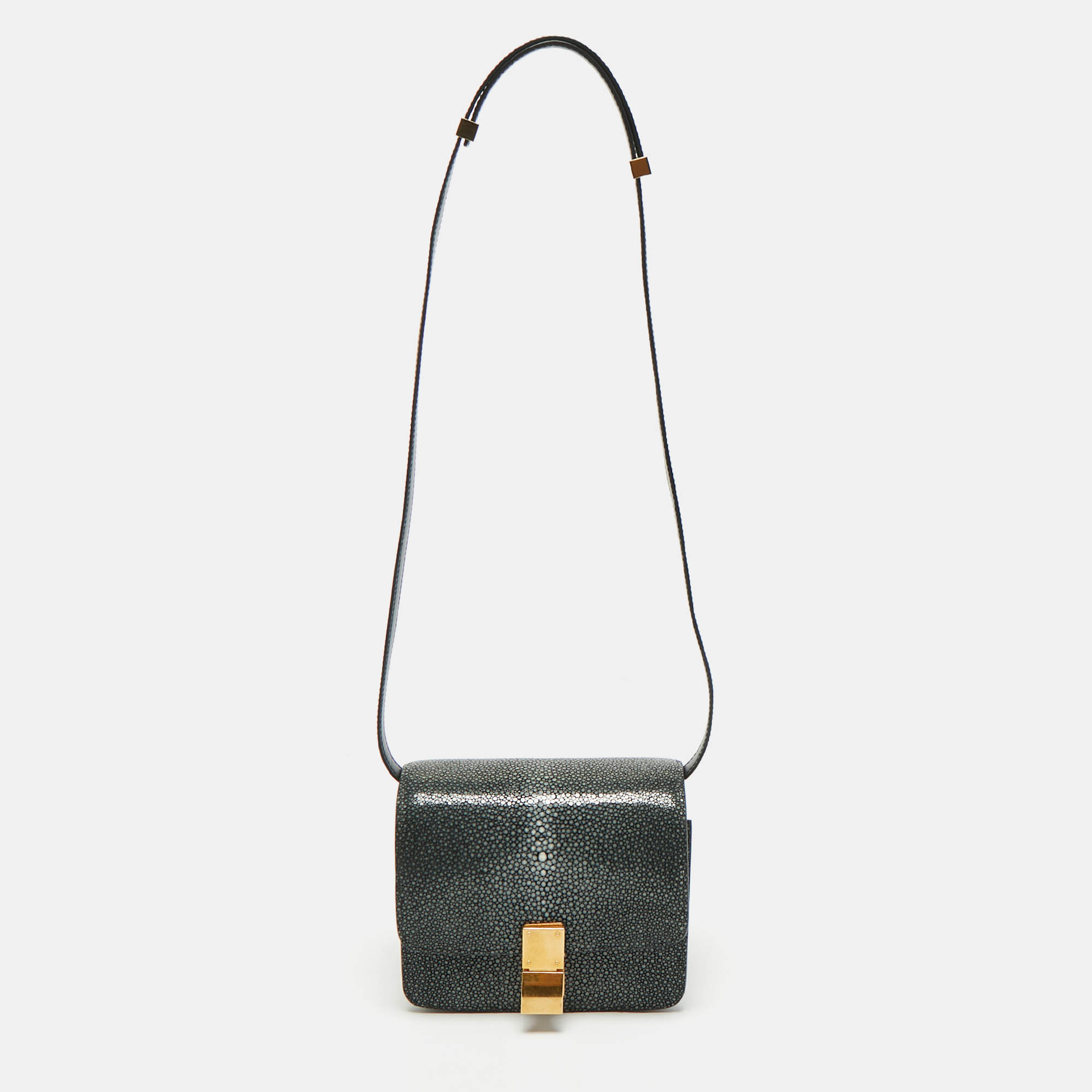 Pre-owned Celine Black Stingray And Leather Small Classic Box Flap Bag