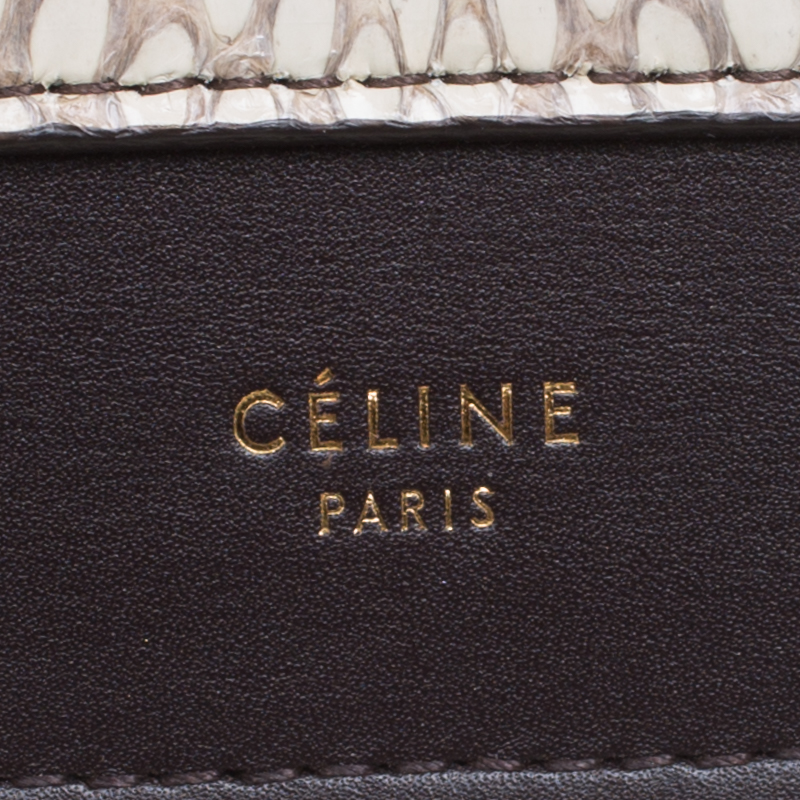 Celine Tricoloe Envelope Python Chain Pouch – The Closet