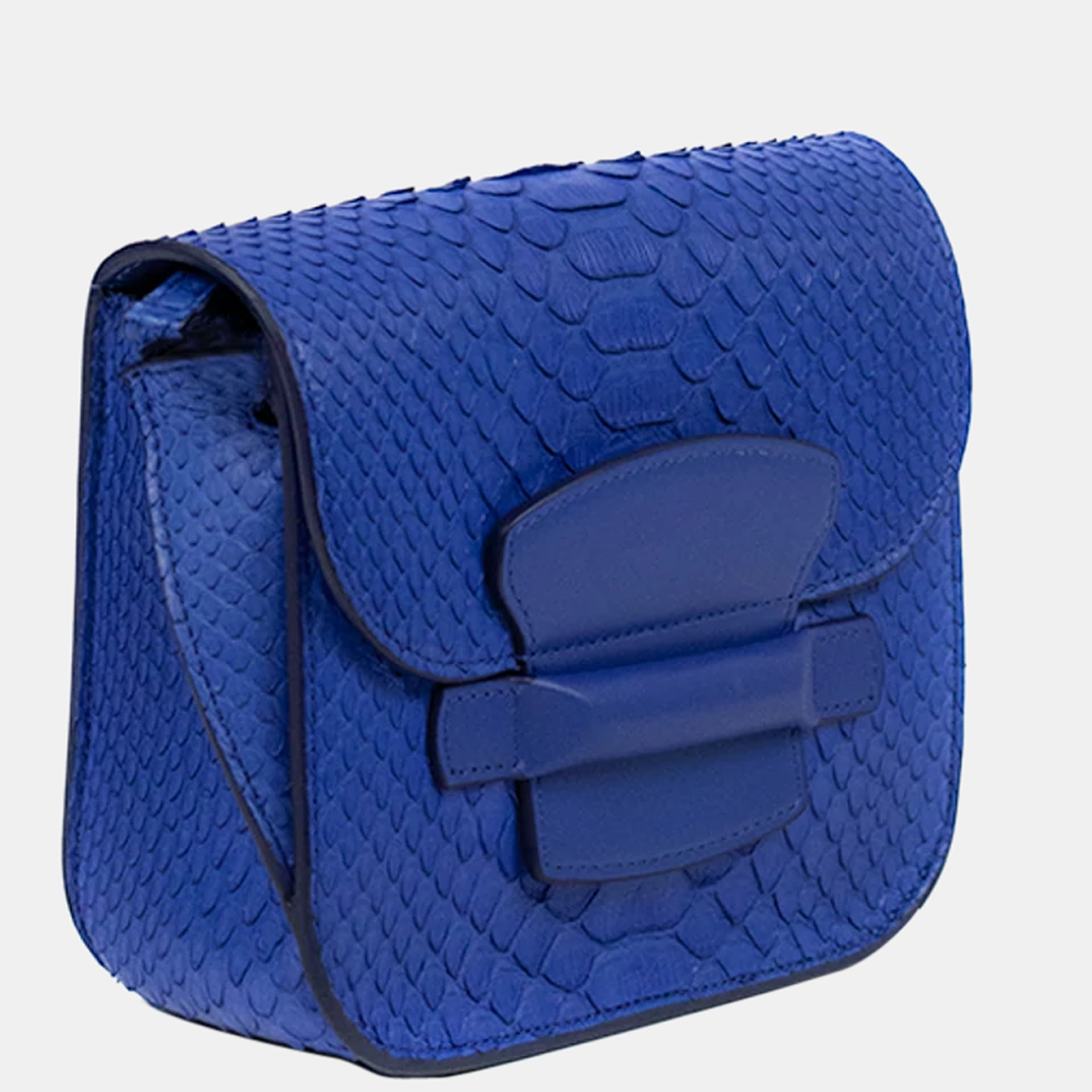 

Celine Blue Exotic Leather Shoulder Bag