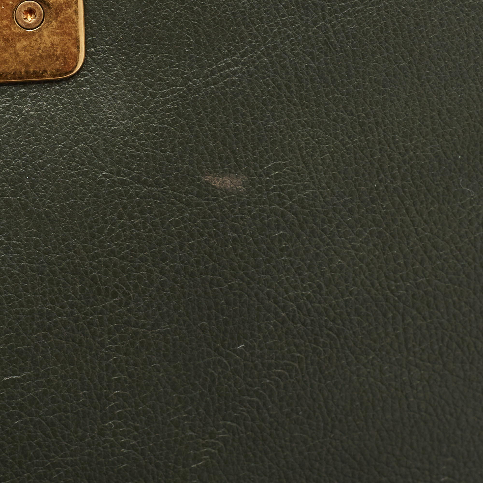 Chanel Green Calfhair and Leather New Medium Boy Flap Bag 
