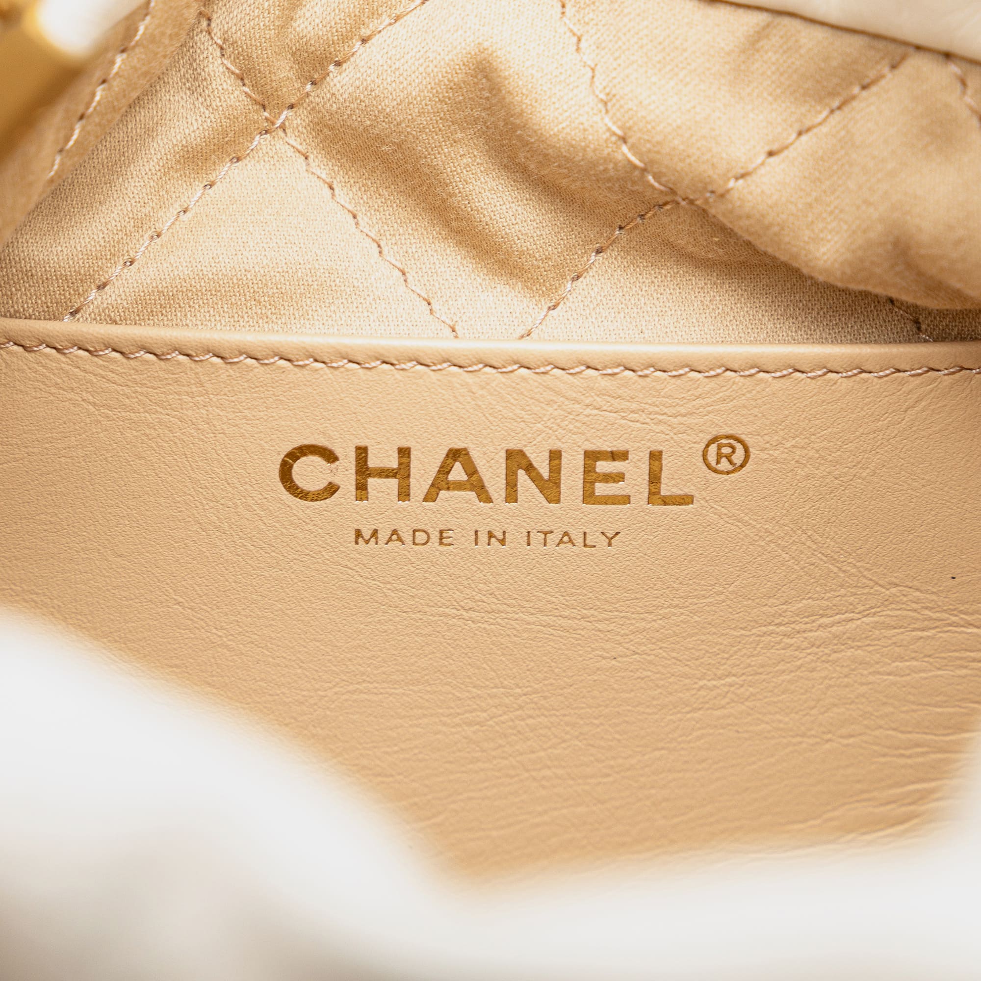 Chanel White Mini Shiny Calfskin 22 Hobo 