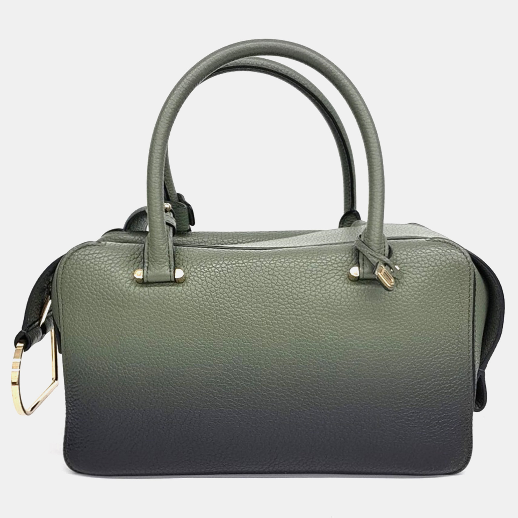 

Delvaux Green Leather Cool Box