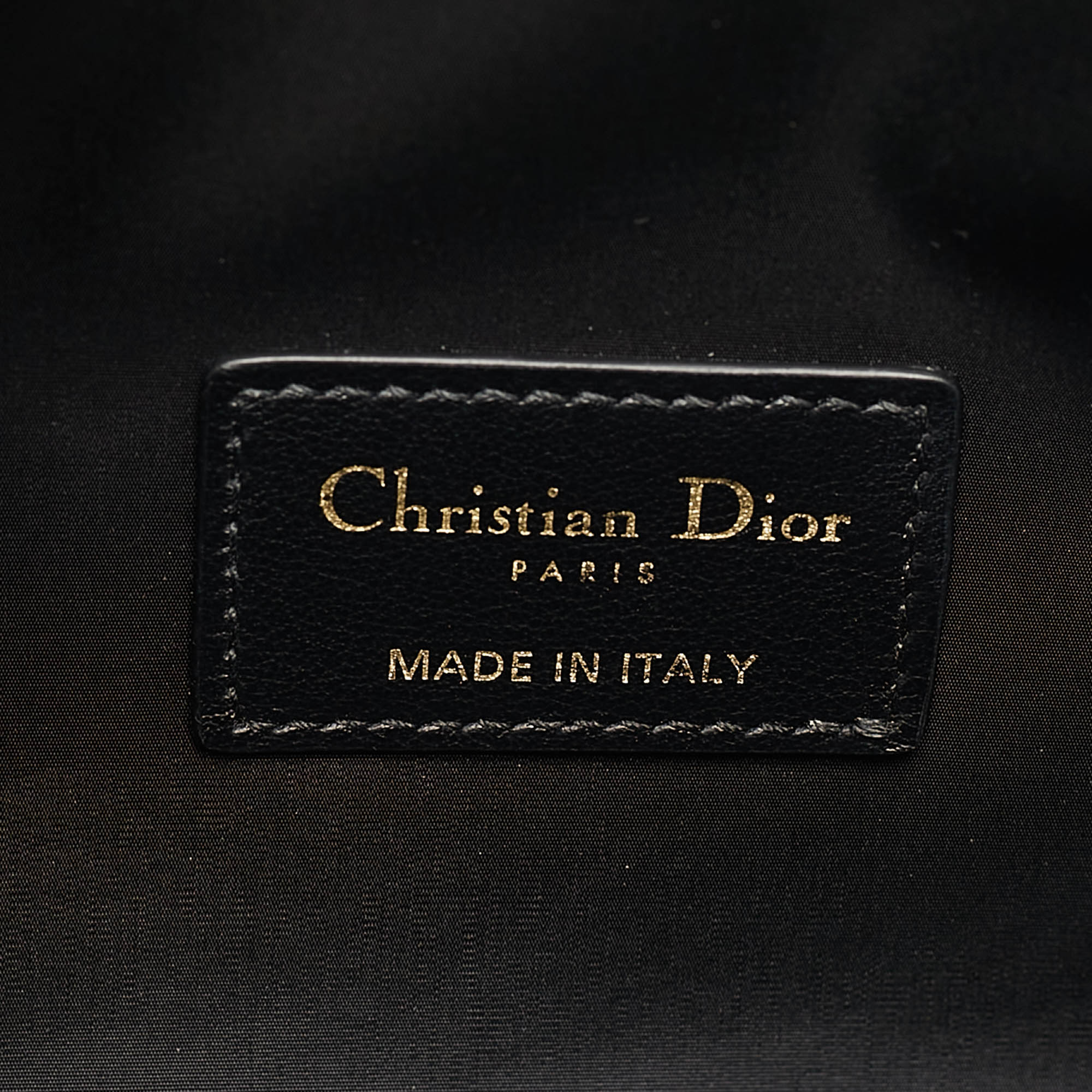 Dior Multicolor Printed Fabric DiorTravel Nomad Pouch 
