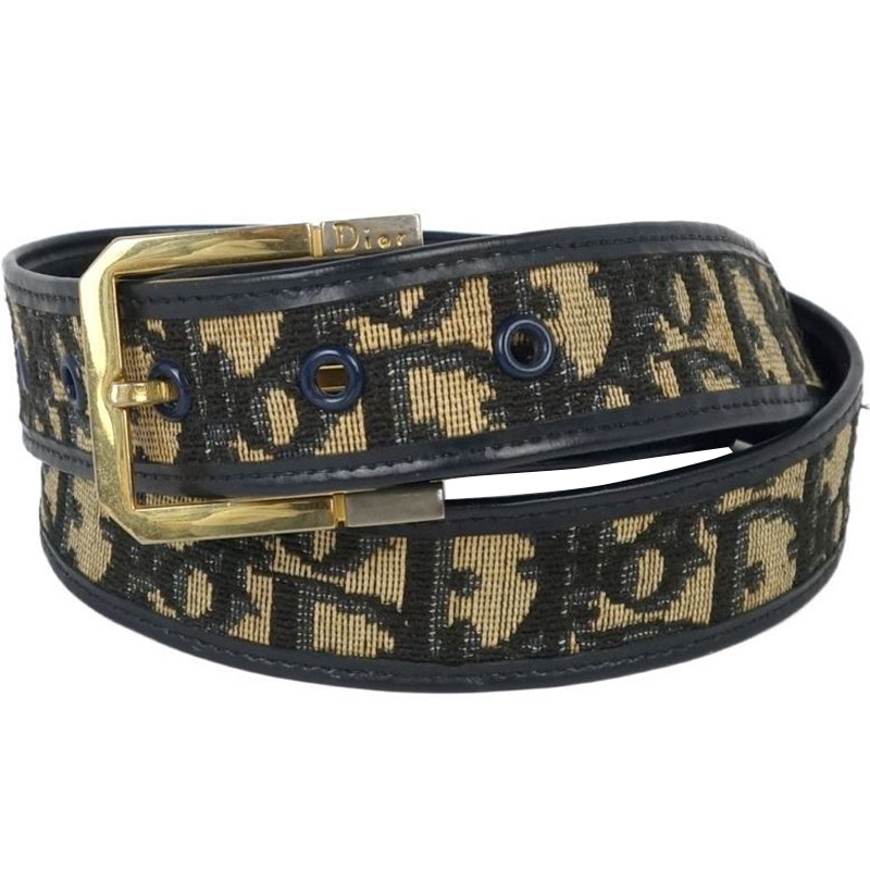 dior trotter belt