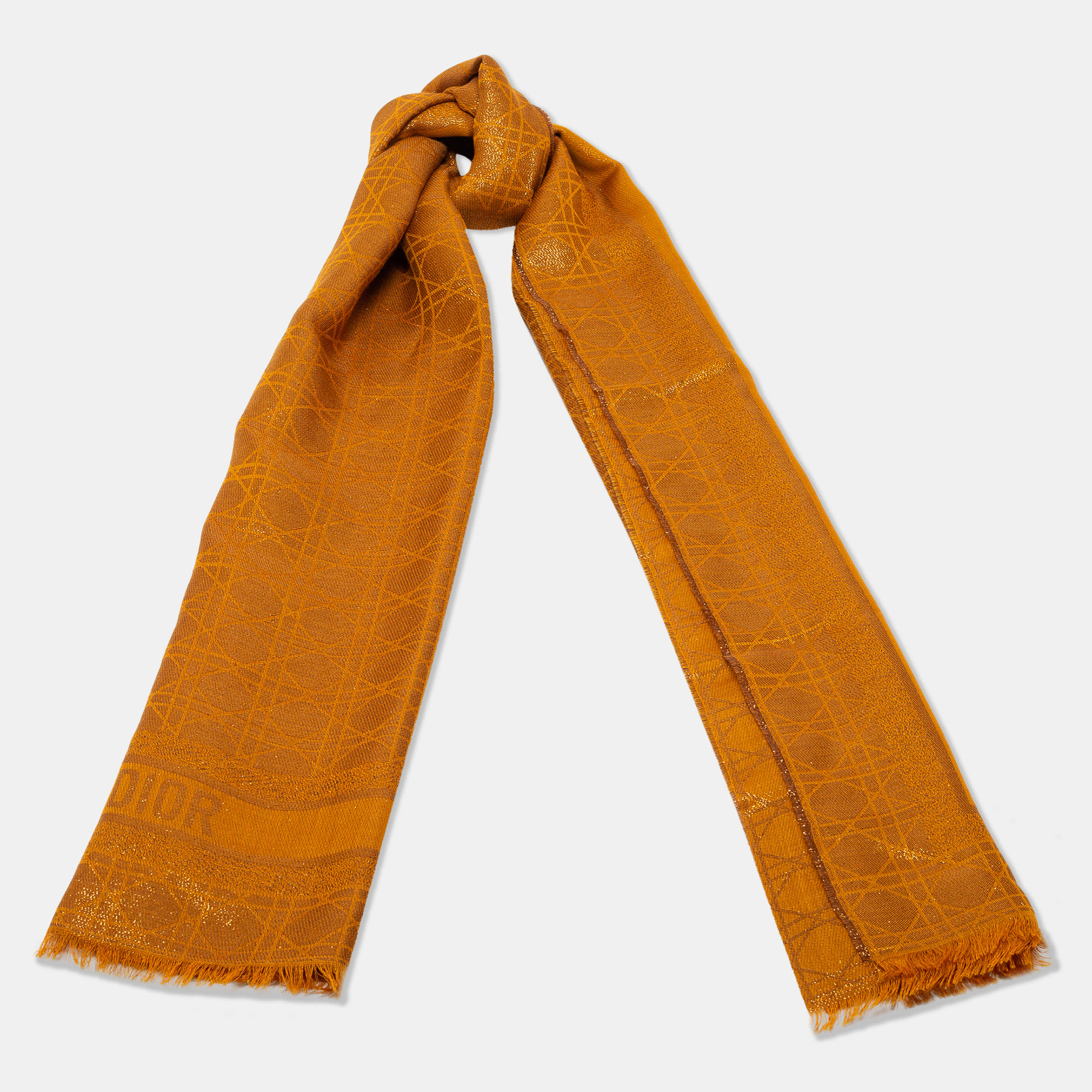 

Dior Metallic Brown D-Cannage Silk and Wool Scarf