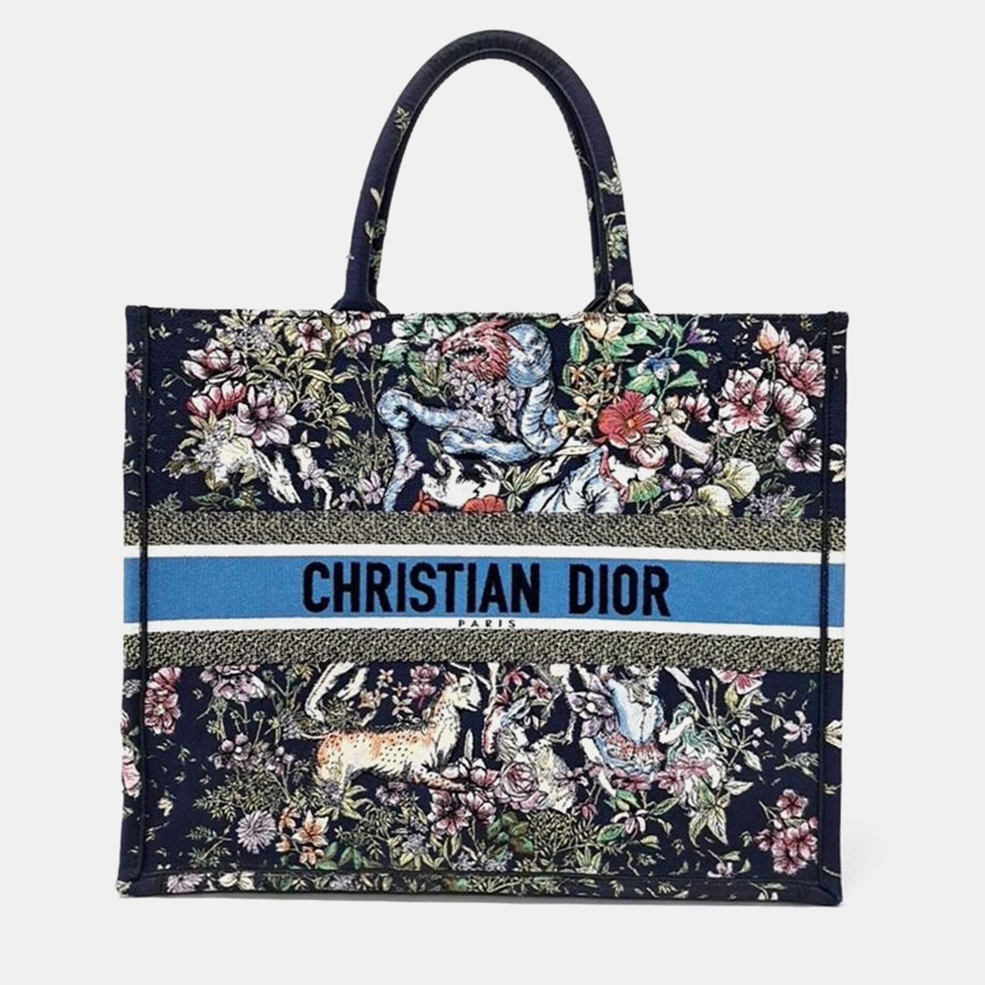 

Dior Multicolor Canvas Book Tote Bag