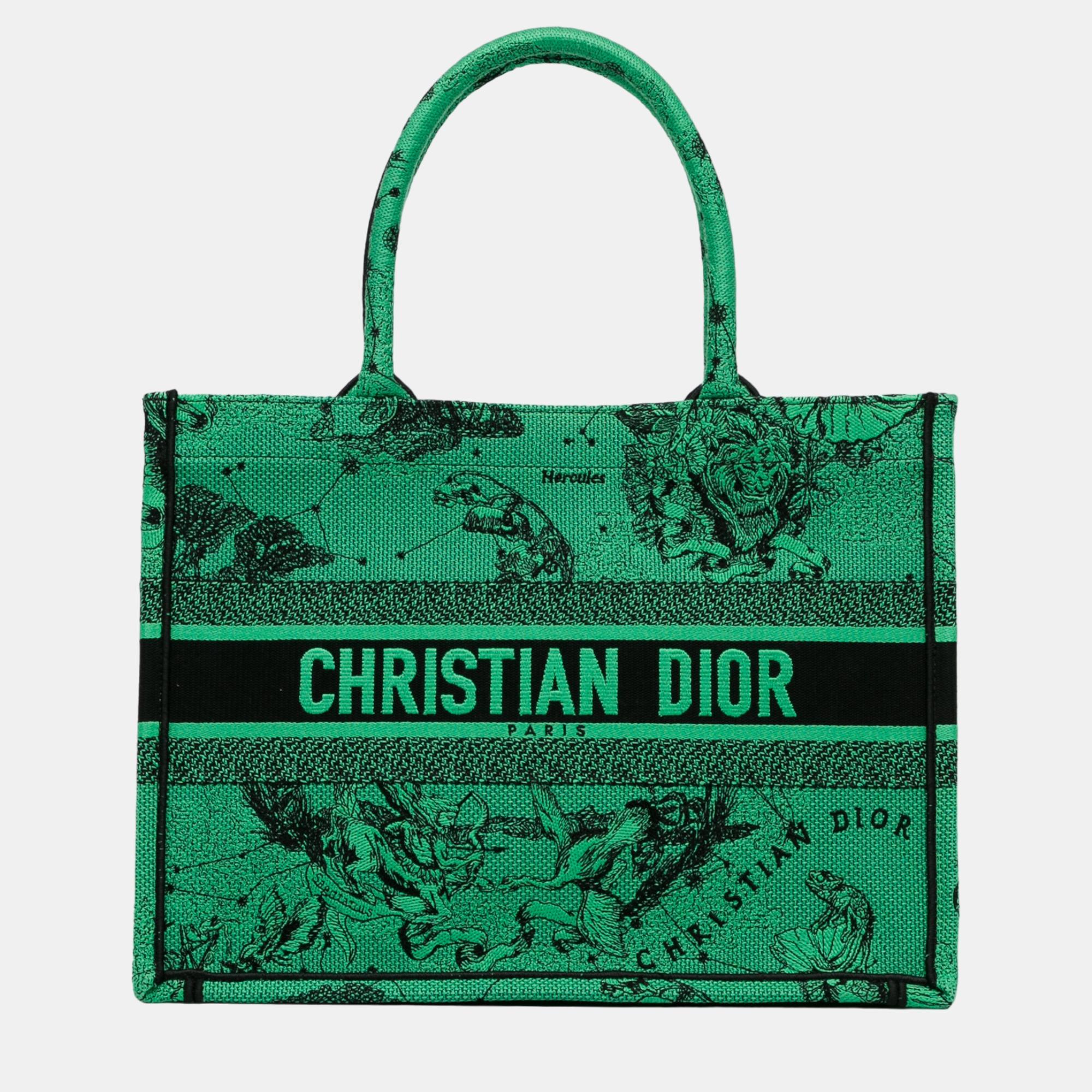 

Dior Green Medium Embroidered Canvas Book Tote