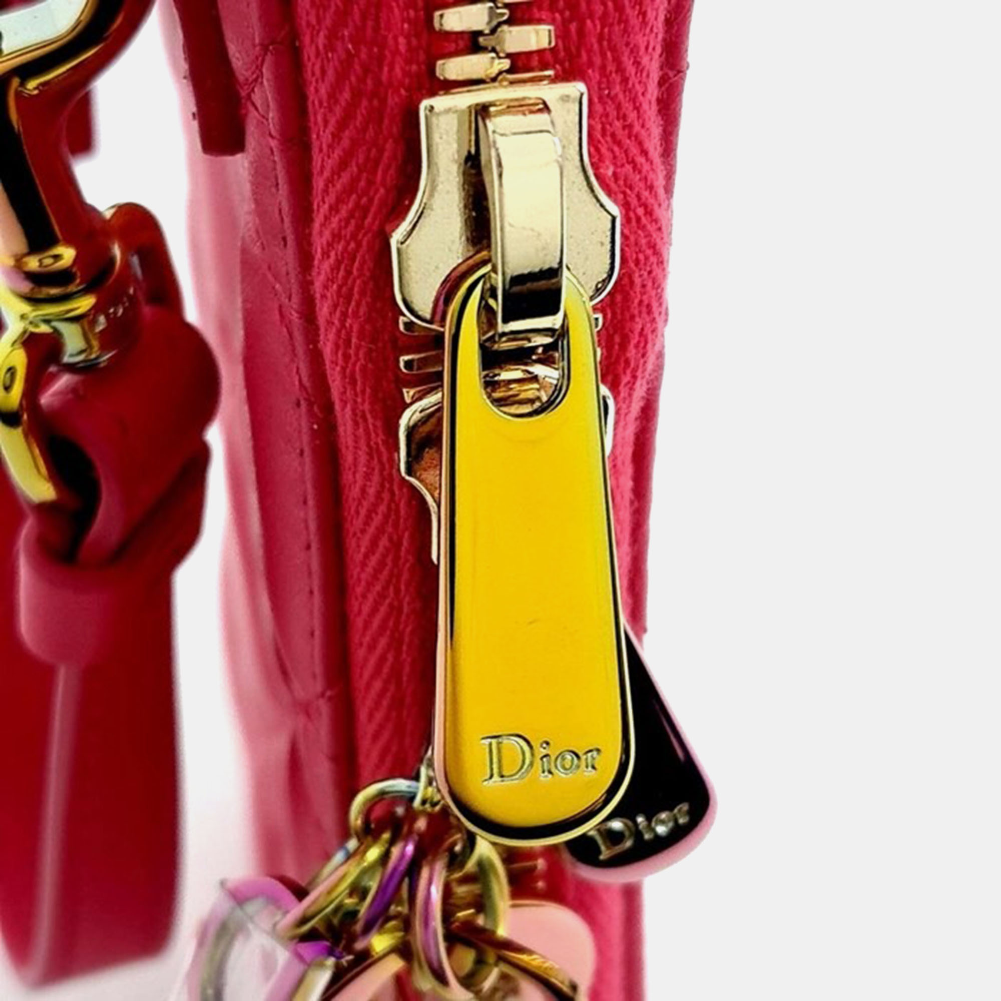 Christian Dior phone holder Crossbody bag 