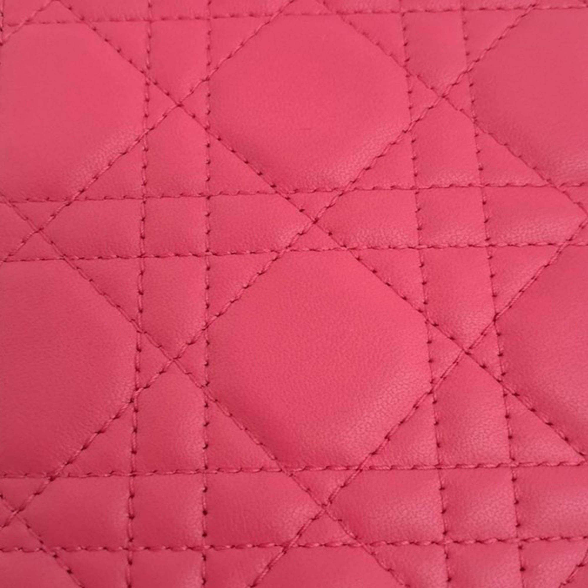 Christian Dior phone holder Crossbody bag 